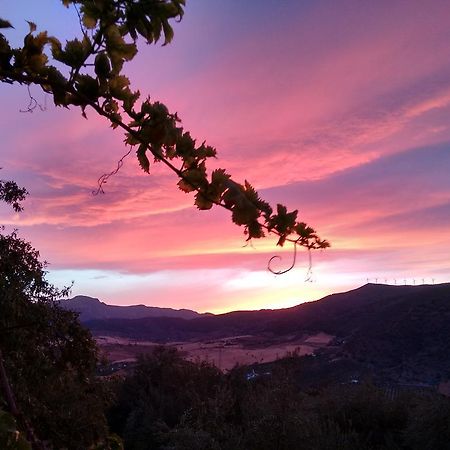 Finca La Piedra Holidays Alora Dış mekan fotoğraf