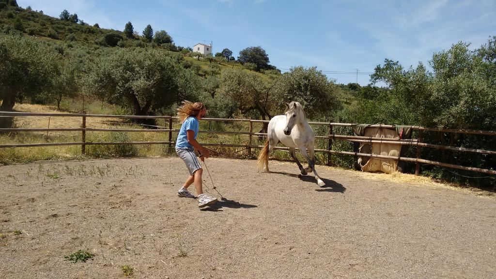 Finca La Piedra Holidays Alora Dış mekan fotoğraf