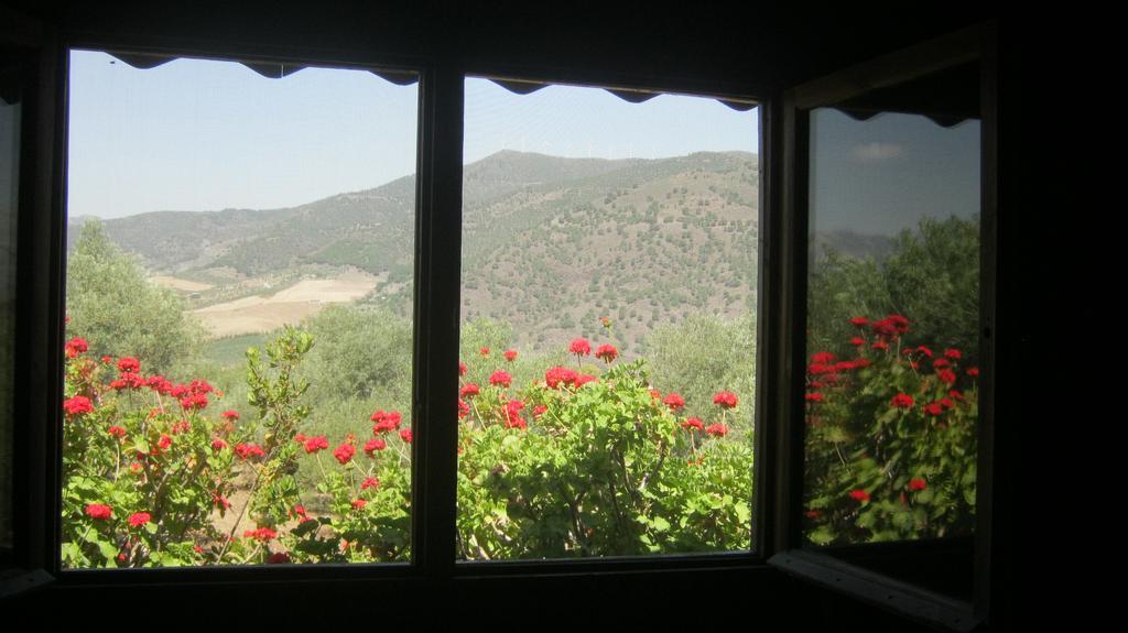 Finca La Piedra Holidays Alora Oda fotoğraf