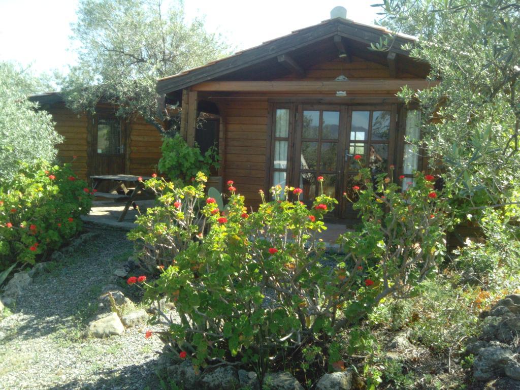 Finca La Piedra Holidays Alora Oda fotoğraf