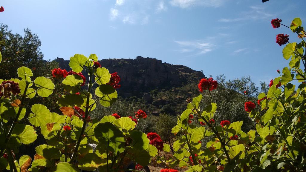 Finca La Piedra Holidays Alora Dış mekan fotoğraf